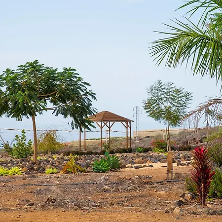 Tenerife Healing Garden Appartamento *