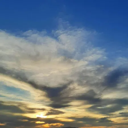 Tenerife Healing Garden Apartment *